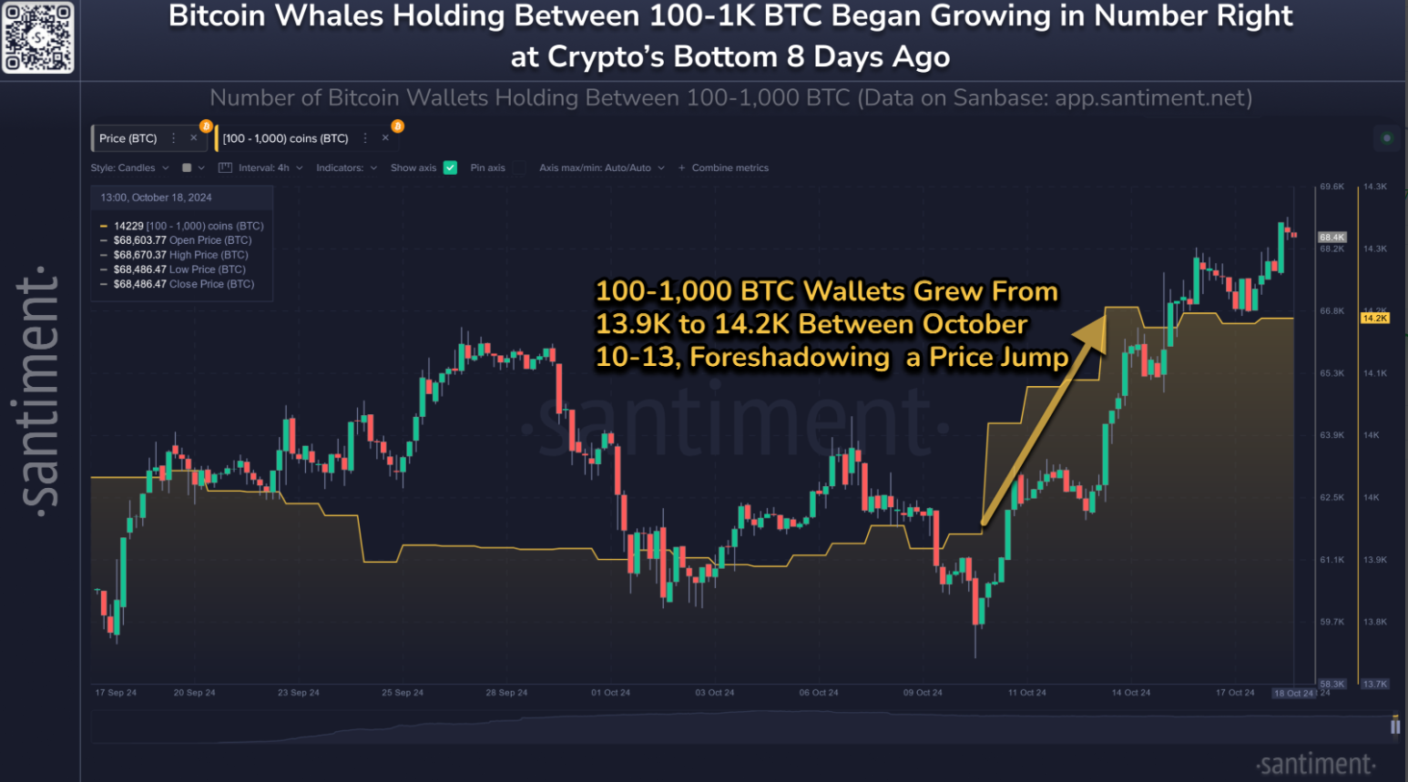 Bitcoin whale holdings chart. Source: Santiment 